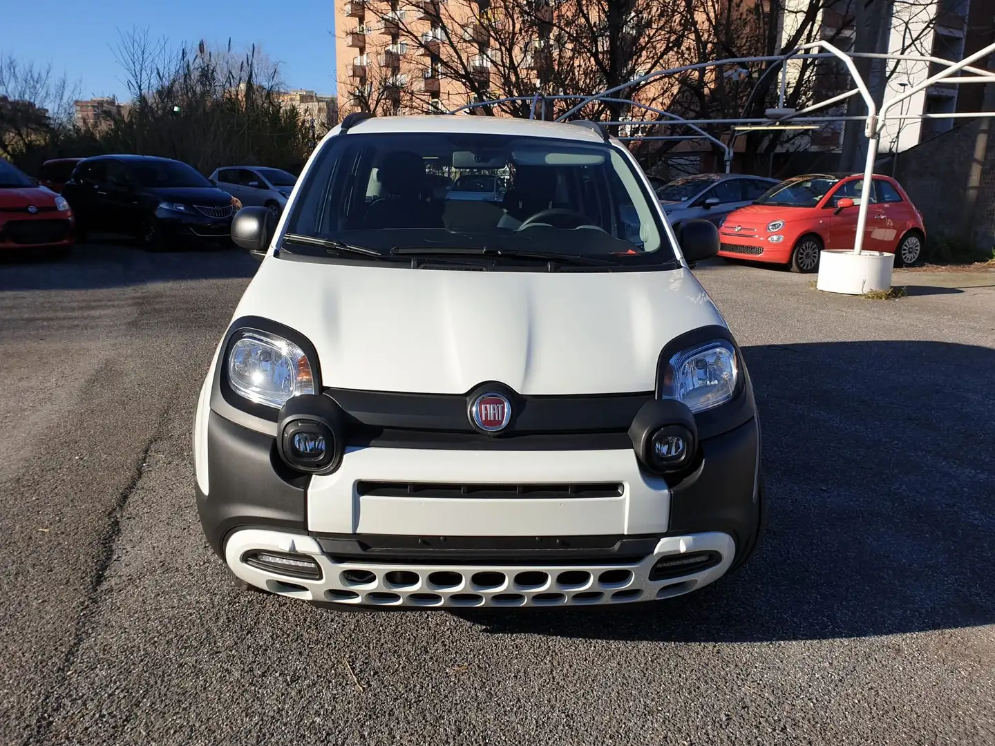 Fiat Panda 1.0 FireFly S&S Hybrid Bianco - 2