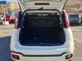 Fiat Panda 1.0 FireFly S&S Hybrid Bianco - thumbnail 31