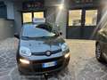 Fiat Panda 1.2 Easy PREZZO REALE WWW.AUTONOVEMILANO.IT Grigio - thumbnail 1
