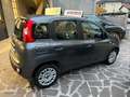 Fiat Panda 1.2 Easy PREZZO REALE WWW.AUTONOVEMILANO.IT Grigio - thumbnail 3