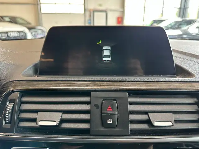 BMW 2 Series view 15