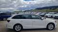 Skoda Octavia Kombi TDI Business ''1.Besitz'' aut. Weiß - thumbnail 7