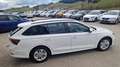 Skoda Octavia Kombi TDI Business ''1.Besitz'' aut. Weiß - thumbnail 8
