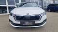 Skoda Octavia Kombi TDI Business ''1.Besitz'' aut. Weiß - thumbnail 3