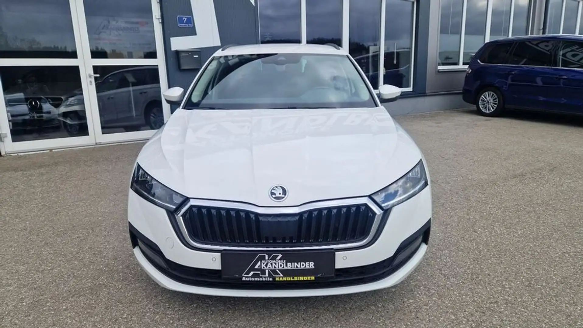 Skoda Octavia Kombi TDI Business ''1.Besitz'' aut. Weiß - 2