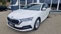 Skoda Octavia Kombi TDI Business ''1.Besitz'' aut. Weiß - thumbnail 1