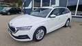 Skoda Octavia Kombi TDI Business ''1.Besitz'' aut. Weiß - thumbnail 4