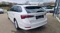 Skoda Octavia Kombi TDI Business ''1.Besitz'' aut. Weiß - thumbnail 6