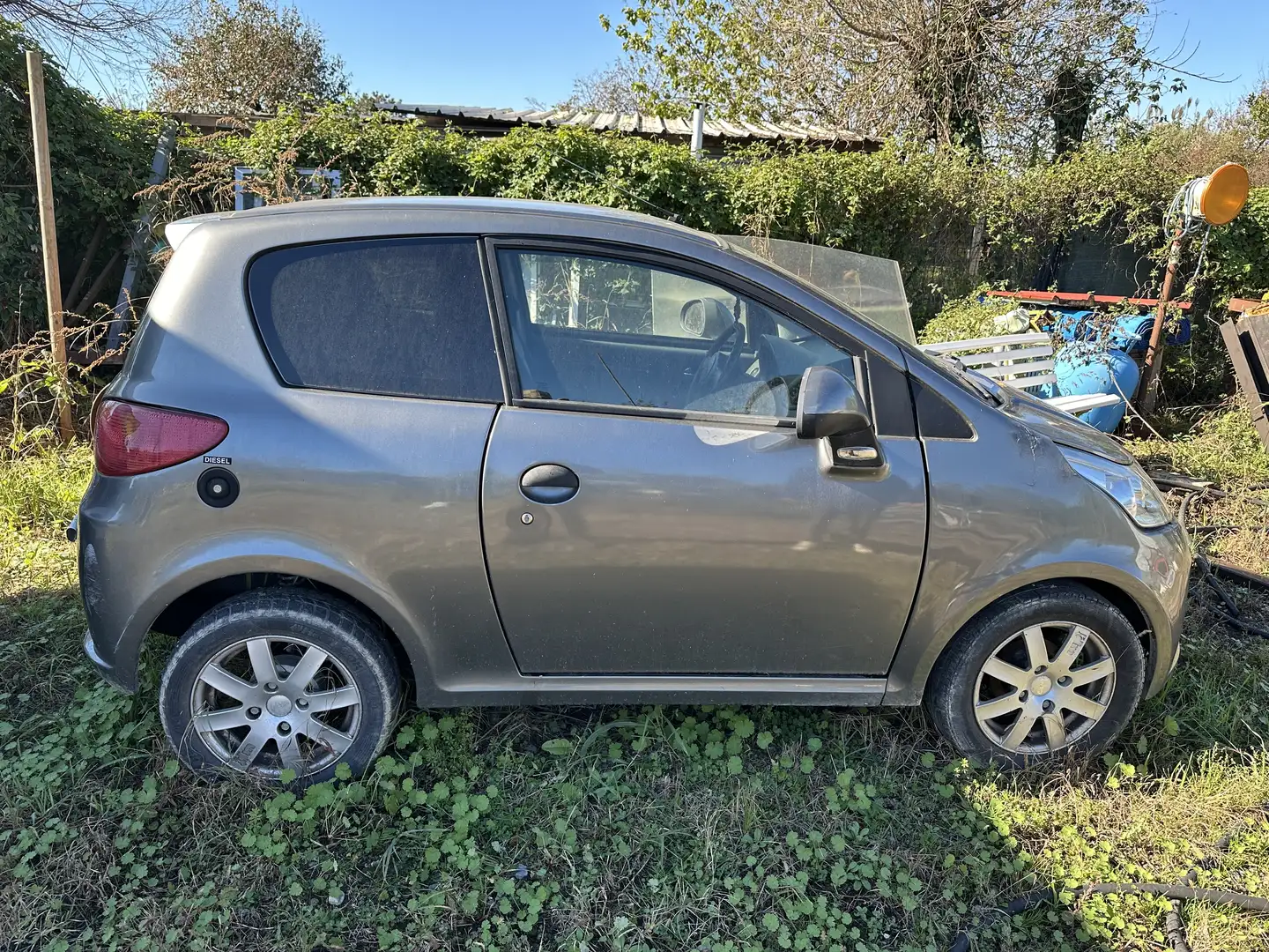 Microcar Egyéb sport Szürke - 1