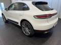 Porsche Macan 2.0 TETTO - PASM - CERCHI 21"" FULL!! Bianco - thumbnail 5