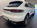 Porsche Macan 2.0 TETTO - PASM - CERCHI 21"" FULL!! Bianco - thumbnail 4