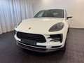 Porsche Macan 2.0 TETTO - PASM - CERCHI 21"" FULL!! Bianco - thumbnail 7
