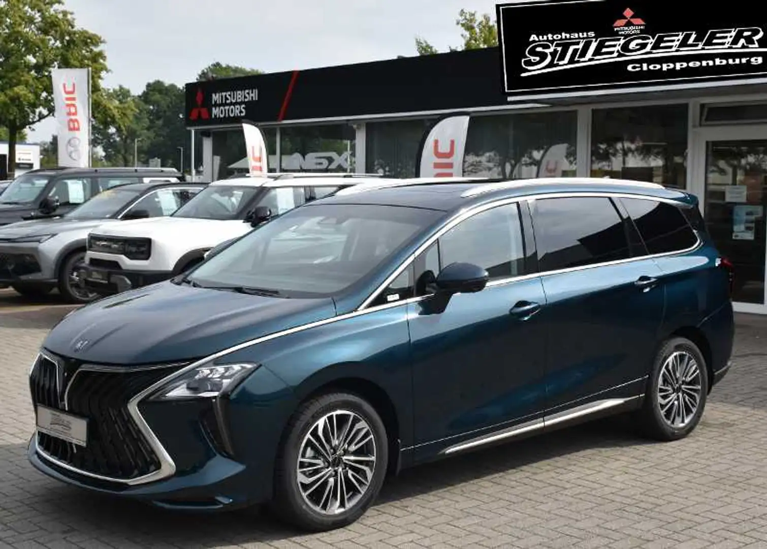 Forthing U-Tour 4 Tour Noble Leder Pano Schiebedach Grün - 1