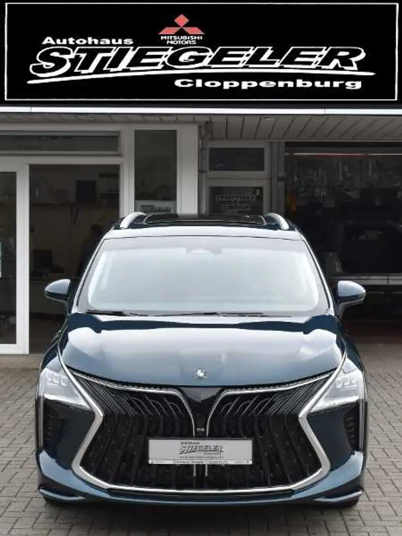 Forthing U-Tour 4 Tour Noble Leder Pano Schiebedach Grün - 2