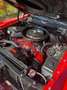 Ford Mustang T5, einer von 84, Komplettrestauration Rojo - thumbnail 10