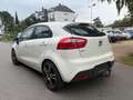 Kia Rio 1.4/Euro5/Klima Weiß - thumbnail 4
