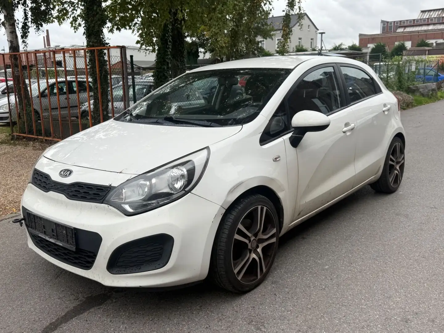 Kia Rio 1.4/Euro5/Klima Weiß - 1