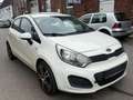 Kia Rio 1.4/Euro5/Klima Weiß - thumbnail 2