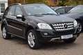 Mercedes-Benz ML 420 CDI Bi-Xenon|Leder|Navi|Kamera|Tempo.|BC Negro - thumbnail 3