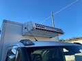 Iveco Daily daily 35 C14 3000 cab. E6 Frigo - PROMO Blanc - thumbnail 13