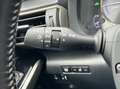 Lexus IS 300 300h Hybrid Business Line|Navi|NAP Grau - thumbnail 23