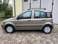 Fiat Panda Panda 1.2 Dynamic Eco Bronze - thumbnail 2
