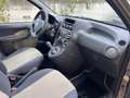 Fiat Panda Panda 1.2 Dynamic Eco Bronze - thumbnail 9