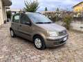Fiat Panda Panda 1.2 Dynamic Eco Bronze - thumbnail 4