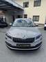 Skoda Karoq 1.6 TDI Style Limited Grau - thumbnail 2