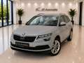 Skoda Karoq 1.6 TDI Style Limited Grau - thumbnail 1