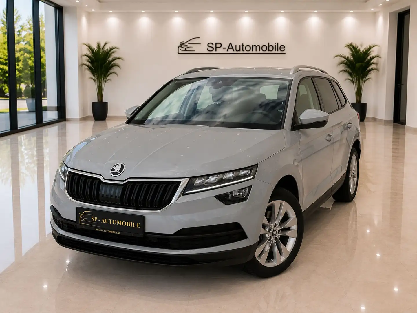 Skoda Karoq 1.6 TDI Style Limited Grau - 1