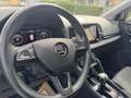 Skoda Karoq 1.6 TDI Style Limited Grau - thumbnail 9