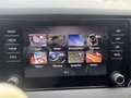 Skoda Karoq 1.6 TDI Style Limited Grau - thumbnail 9