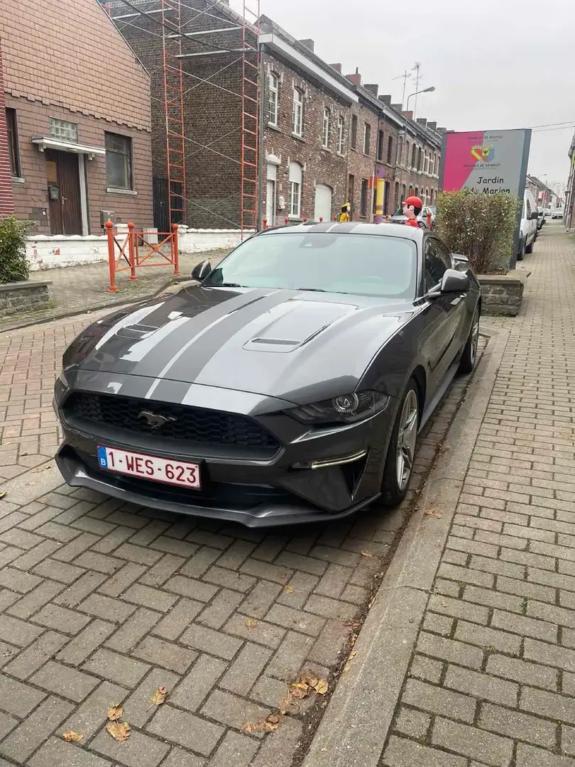Ford Mustang 2.3 EcoBoost (EU6.2) Gris - 1
