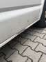 Volkswagen T6 Multivan Multivan Trendline Weiß - thumbnail 13