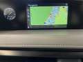 Lexus UX 250h Business Navigation 2WD Gris - thumbnail 29