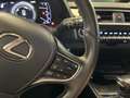Lexus UX 250h Business Navigation 2WD Gris - thumbnail 25