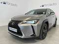 Lexus UX 250h Business Navigation 2WD Gris - thumbnail 1