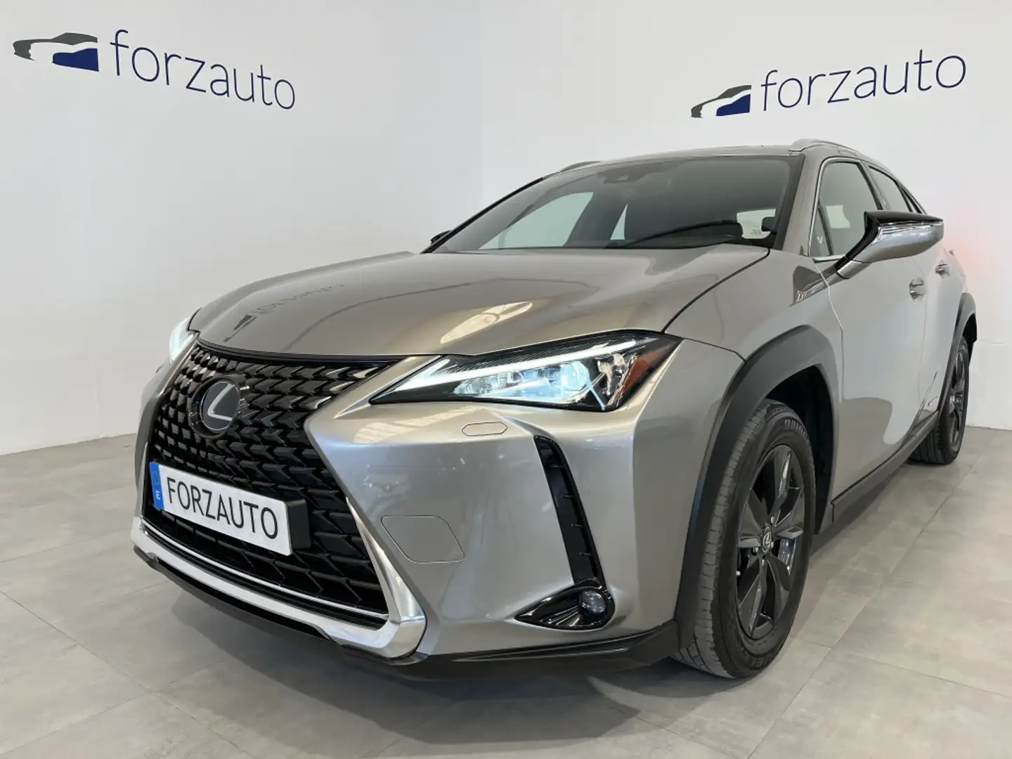 Lexus UX 250h Business Navigation 2WD Gris - 1