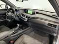 Lexus UX 250h Business Navigation 2WD Gris - thumbnail 21