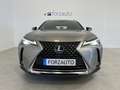 Lexus UX 250h Business Navigation 2WD Gris - thumbnail 2