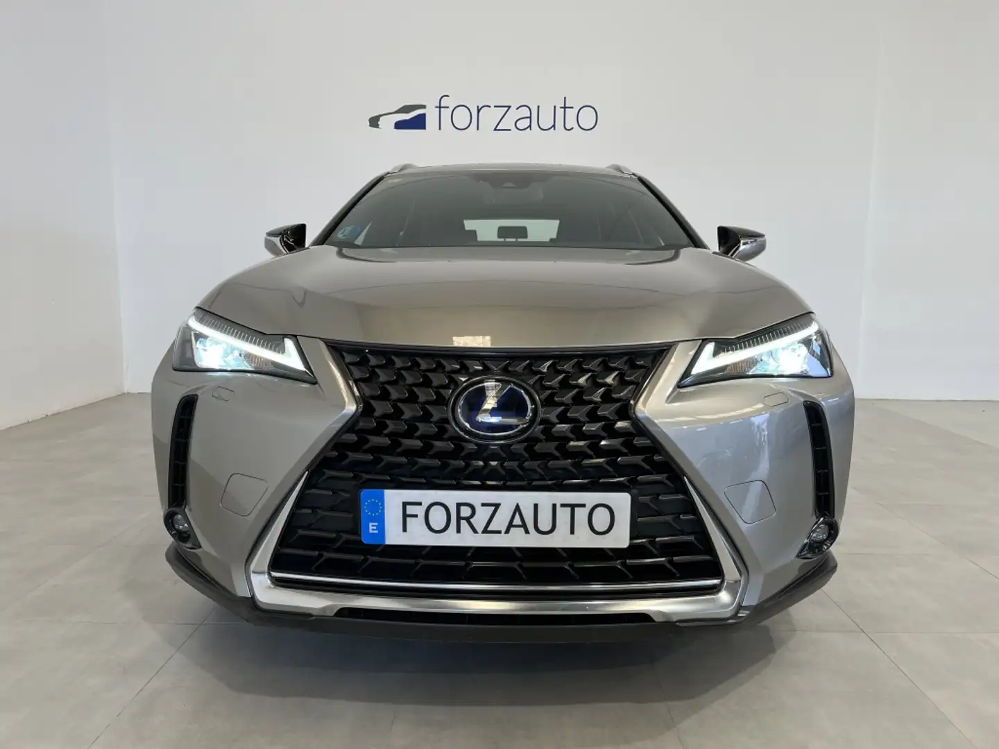 Lexus UX 250h Business Navigation 2WD Gris - 2