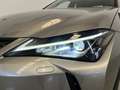Lexus UX 250h Business Navigation 2WD Gris - thumbnail 9
