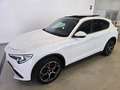 Alfa Romeo Stelvio 2.2 Diésel 154kW (210CV) Executive Q4 Blanco - thumbnail 12