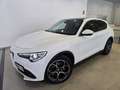 Alfa Romeo Stelvio 2.2 Diésel 154kW (210CV) Executive Q4 Blanco - thumbnail 3