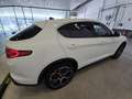 Alfa Romeo Stelvio 2.2 Diésel 154kW (210CV) Executive Q4 Blanco - thumbnail 5