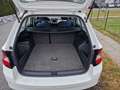 Skoda Fabia Fabia Combi Active 1,2 TSI Active Weiß - thumbnail 7