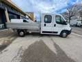 Fiat Ducato 2.2 CDTI 140cv DOPPIA CABINA 7 POSTI Bianco - thumbnail 4