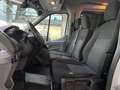 Ford Transit 2.0 TDCI L2 350 Trend 9-Sitze  Standhzg. AHK SHZ Білий - thumbnail 10