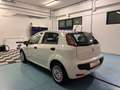 Fiat Punto Evo Punto Evo 5p 1.3 mjt Dynamic s Bianco - thumbnail 3